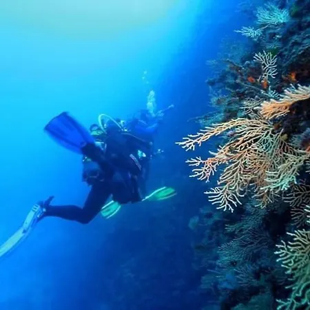 Mer & Nature Avec Piscine Chauffee Golf Et Multisport * Saint-Raphael (Var)