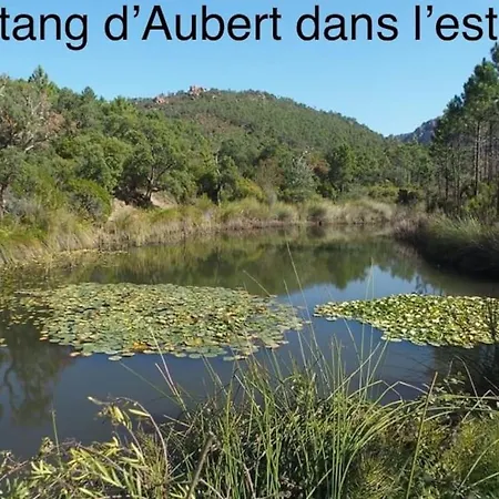 Apartment Mer & Nature Avec Piscine Chauffee Golf Et Multisport *
